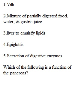 3.2 Quiz